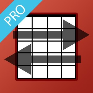 Strumming Partner (Pro) logo