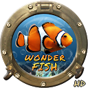 Wonder Fish