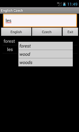 English Czech Dictionary