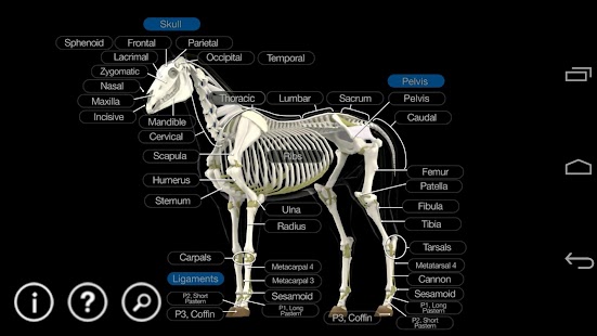 How to install Horse Anatomy: Equine 3D 1.0.1 mod apk for pc