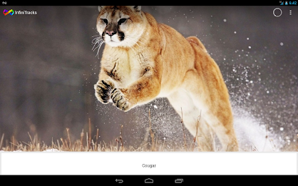 InfiniTracks poster 14