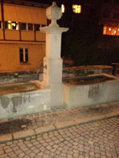 Riedbach Brunnen 1821