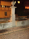 Riedbach Brunnen 1821