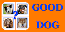 Good Dog APK