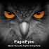 EagleEyes(Plus)1.5.9