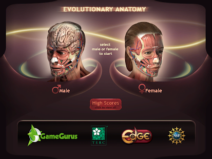 Evolutionary Anatomy