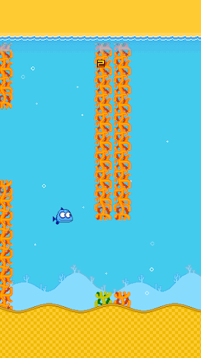 Splashy Fish