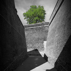 The Last Hope by Valentin Sarca - Buildings & Architecture Public & Historical