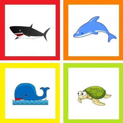 Sea creatures - play on words 紙牌 App LOGO-APP開箱王