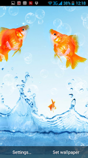 Zlatá rybka Živá Tapeta - náhled