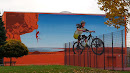Mountain Bike Graffiti