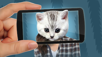 Gesichts Scanner: Welche Katze APK Screenshot #9