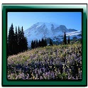 Nature Romantic Live Wallpaper logo