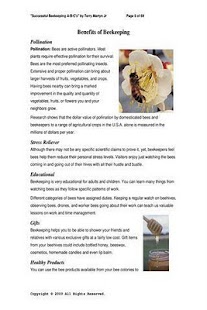 Successful Beekeeping Preview Screenshots 2