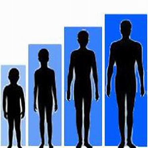 Rahasia Tambah Tinggi Badan.apk 2.0