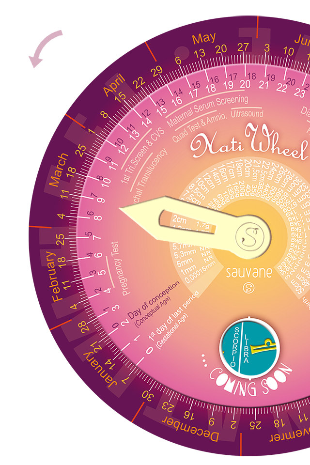 NatiWheel Screen 3