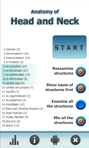 Anatomy Star - Head and Neck