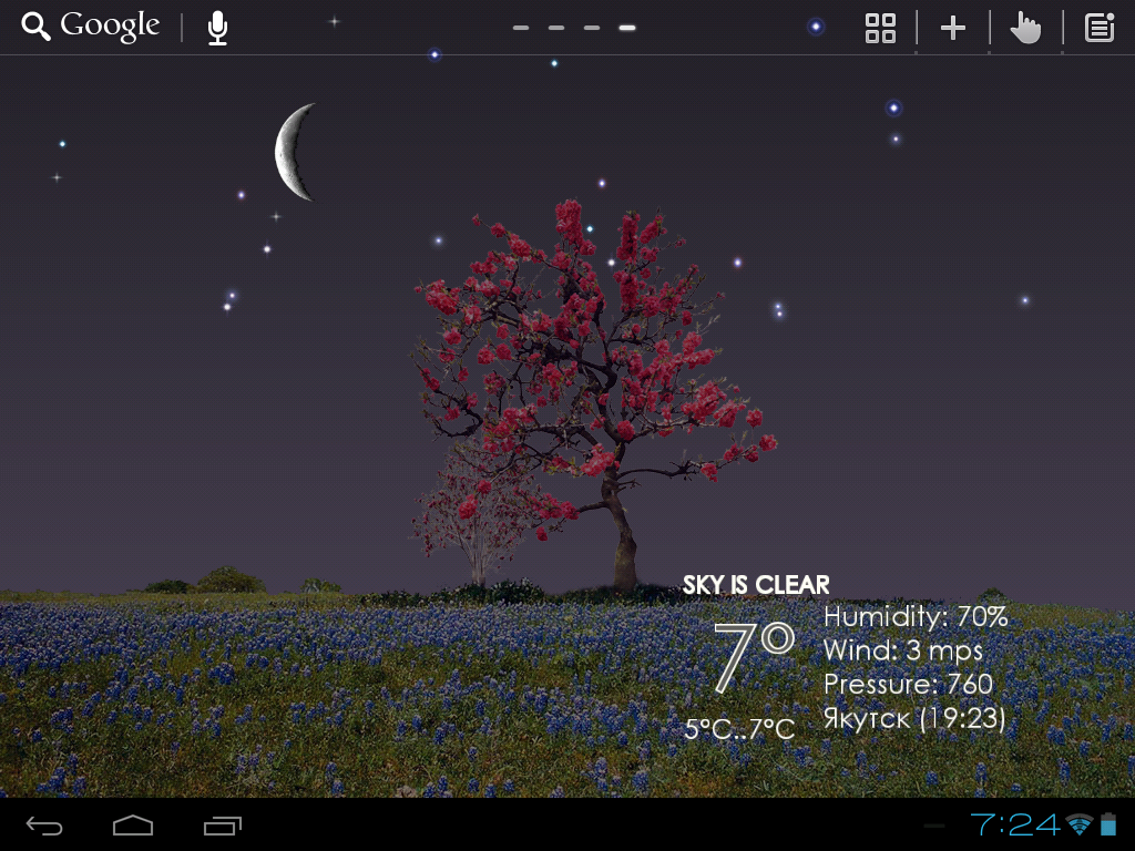 Nature Live Weather LWP - screenshot