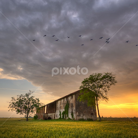 Musile Di Piave - Old House - Wild Ducks by Fa Ve - Landscapes Prairies, Meadows & Fields