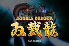 Double Dragonのおすすめ画像5
