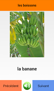 How to mod Learn French words patch 7.0 apk for pc