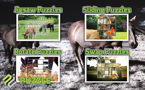 Free Horse Puzzles APK for Android