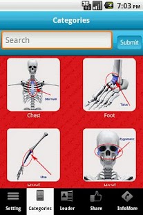 3D Skeletal System