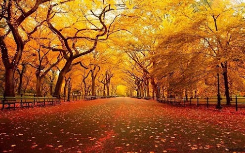 How to mod Autumn Nature HD Wallpaper patch 1.0 apk for pc