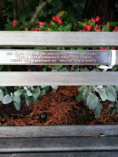 Kay and Dr. Shelly Memorial Bench  