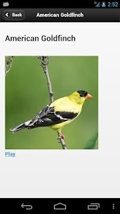 How to download Kootenay Birds patch 1.0 apk for pc