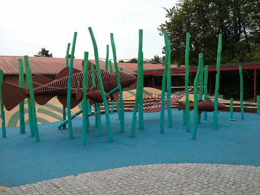 Fish Sculpture Playground