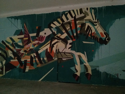Ibirapuera Arte - Zebra