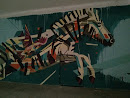 Ibirapuera Arte - Zebra