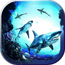 Hungry Sharks live wallpaper mobile app icon