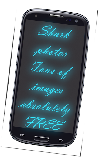 Shark Photos