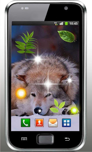 【免費個人化App】Wolf Love HD live wallpaper-APP點子