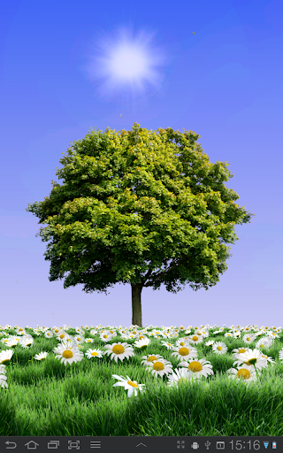 【免費個人化App】Summer Trees Live Wallpaper-APP點子