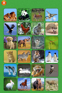 How to install 宝宝趣味识图对对碰与记忆训练-动物篇 patch 2.1.0 apk for laptop