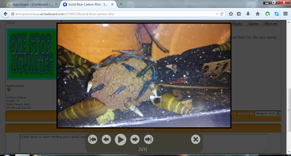 Shrimp Breeding and Tips Screenshots 7