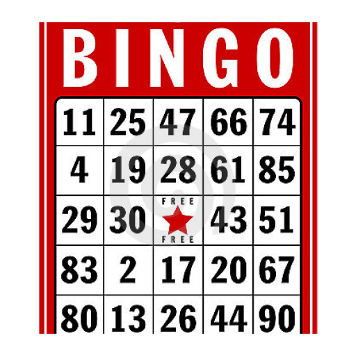 Bingo Housie Slots