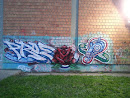 Ruza I Zmaj Grafit