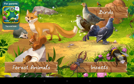 Forest Animals encyclopedia