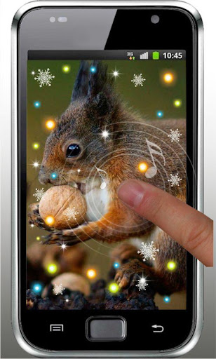 Winter Squirrel live wallpaper