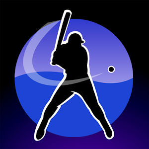 My BaseBall Bat Stats