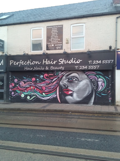 Perfection Hair Studio