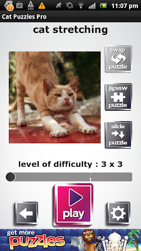 【免費解謎App】Cat Puzzles Pro-APP點子