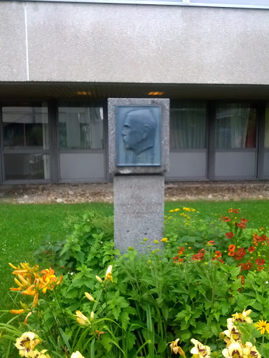 Prof Julius Wagner