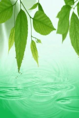 Rain Water Drop Live Wallpaper