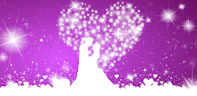 Wedding Planner for Brides APK