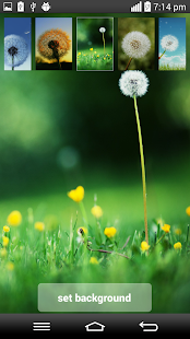 How to install Dandelion Clock Live Wallpaper patch 1.0 apk for bluestacks